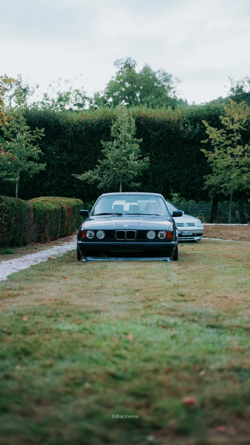 Tiefergelegter dunkler BMW frontal in der Wiese