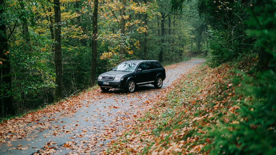 Audi allroad auf herbstlicher Straße im Wald