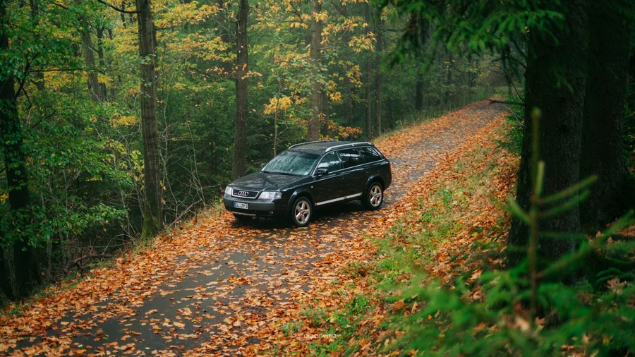 Dunkler Audi allroad auf einer mit Herbstlaub bedeckten Straße
